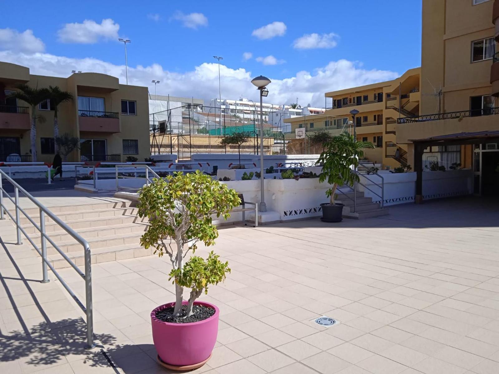 Firstline Apartment Los Cristianos 阿罗纳 外观 照片